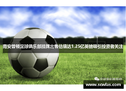 南安普顿足球俱乐部挂牌出售估值达1.25亿英镑吸引投资者关注